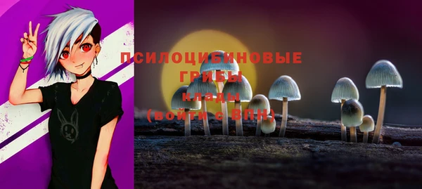 спайс Кулебаки