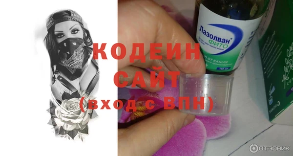 эйфоретик Аша