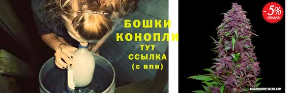 спайс Кулебаки